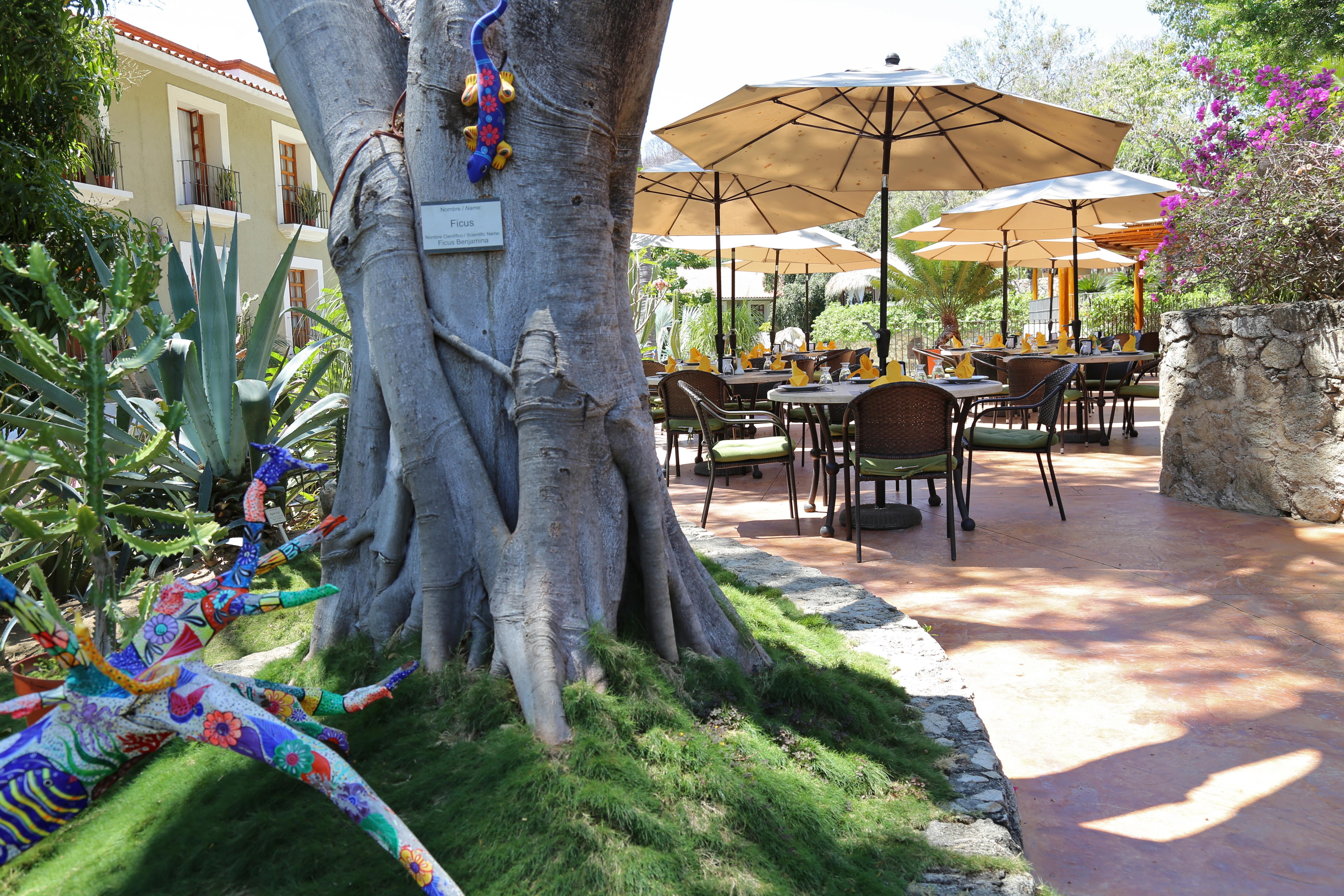 Binniguenda Huatulco & Beach Club Exteriör bild